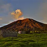 Doctor de párpados en Cartago - Turrialba de Cartago